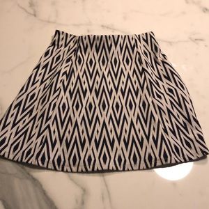 Zara Skirt